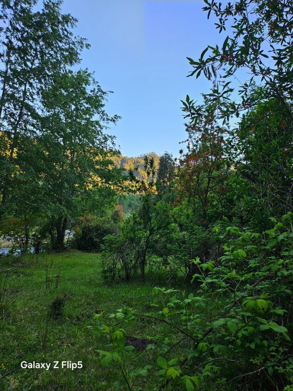 Parcela Lago Ranco 11has. - Imagen 3